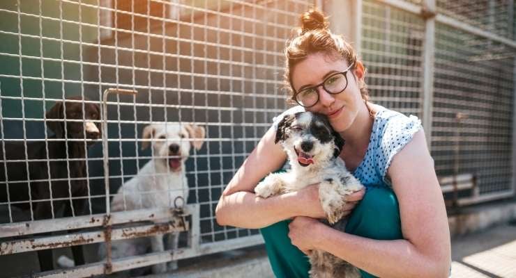 Woman hugging a dog at an animal shelter